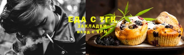 mdpv Бородино