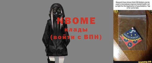 мдпв Богородск