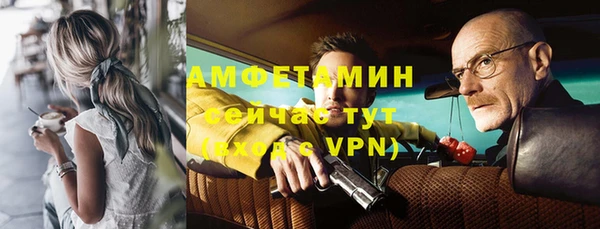 прущие грибы Пересвет