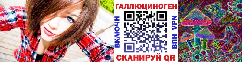 Псилоцибиновые грибы Psilocybine cubensis  Белореченск 